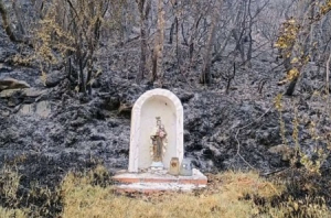The Statue of Our Lady Undamaged After Fire
