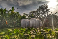 To address hunger, Carmelite parish introduces urban farming