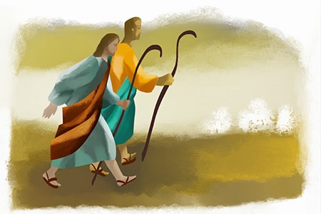 Celebrando In Casa - 15 Domenica del Tempo Ordinario