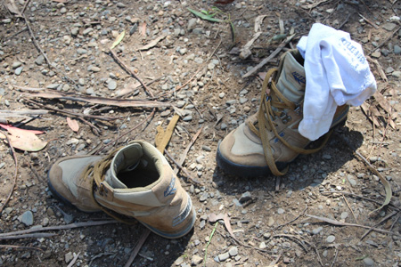 Celebrando in Casa - XIV Domenica del Tempo Ordinario
