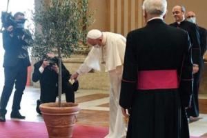 Message for World Day of Prayer for Creation