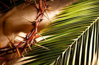Palm Sunday of the Passion of the Lord