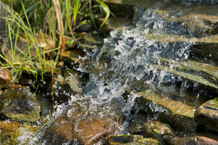 Celebrando en Familia -&nbsp;Dedicaci&oacute;n de la Bas&iacute;lica de Letr&aacute;n