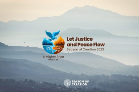 March in the Laudato Si' Movement