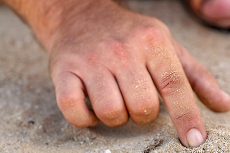 Celebrando in Casa - V Domenica di Quaresima