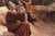 Celebrating At Home - 30th Sunday in Ordinary Time