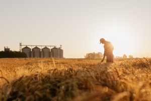 Celebrando en Familia - XVIII Domingo del Tiempo Ordinario