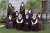 Triennial Chapter of the Carmelite Nuns in the Philippines