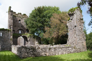 Castlelyons Friary, County Cork, Ireland