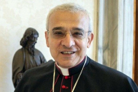 A Carmelite Named Prefect of Bishops' Dicastery