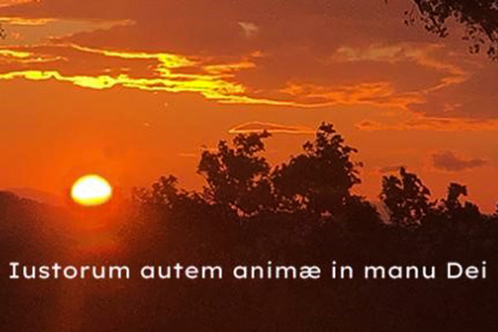 122/2022: Vitam Coelo Reddiderunt