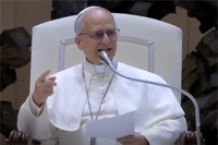 Pope Leo XIV. Courtesy of Vatican Media