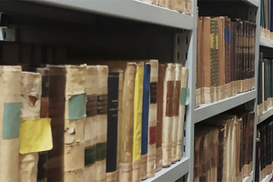 Actividades de la Biblioteca General Carmelita