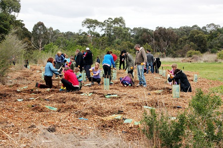 Planting trees, by John Englart, CC BY-SA 2.0 , via Wikimedia Commons