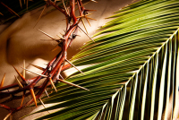 Celebrating At Home - Palm Sunday of the Passion of the Lord