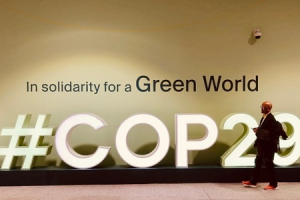 Carmelite NGO Present at COP29 in Azerbaijan